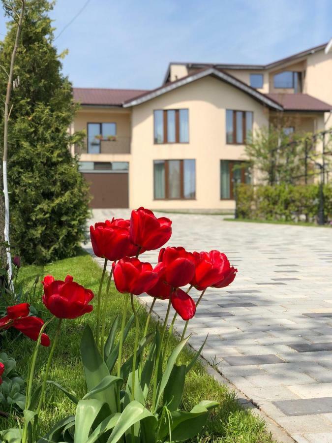 Eden Blue Hotel Costinesti Eksteriør billede